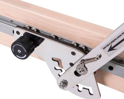 Elina Pilates Reformer Master Instructor Fisio with Tower